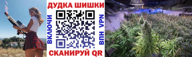 Канабис планчик  Купить закладки  Протвино 